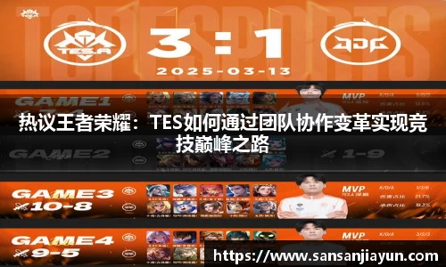 热议王者荣耀：TES如何通过团队协作变革实现竞技巅峰之路